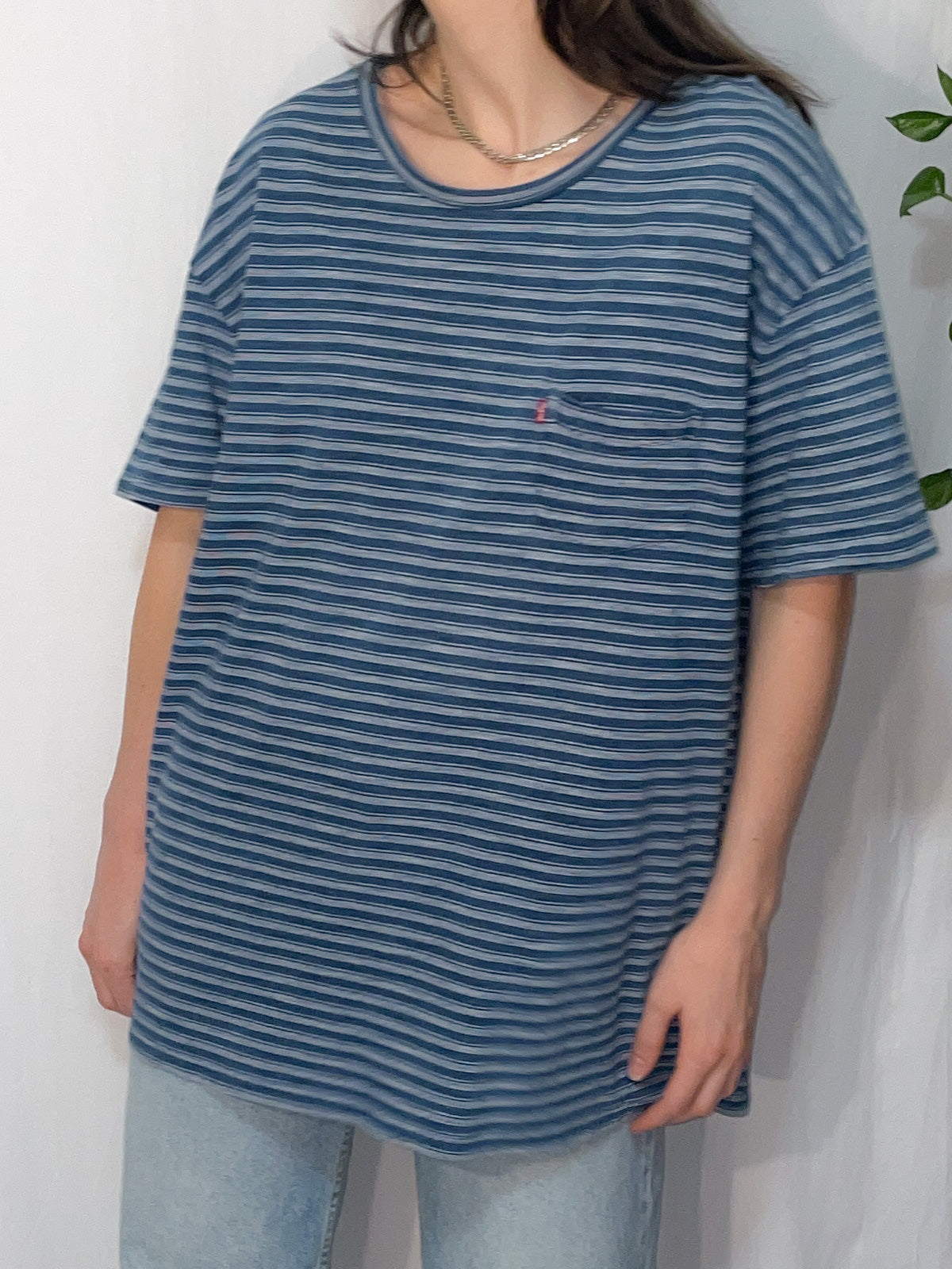 Levi's Heavy GSM Knit Stripe Tee in Blue & White