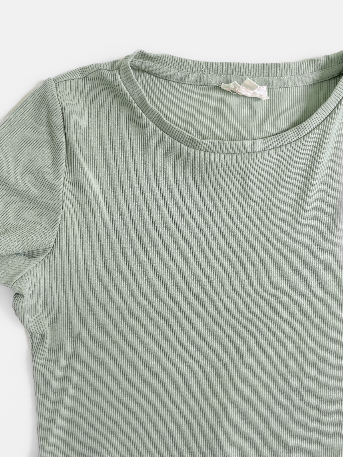 Sage Green Ribbed Cotton Cropped Baby Tee